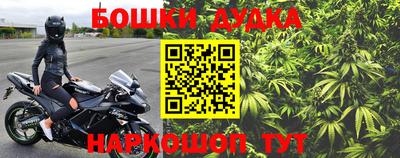 apvp Усть-Илимск