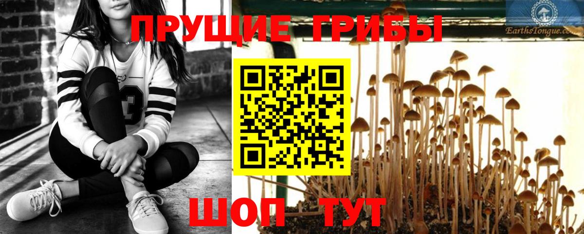 Лесной  Галлюциногенные грибы мицелий  Галлюциногенные грибы Cubensis  Вход с VPN 